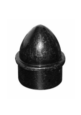 acorn